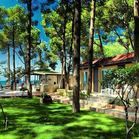 Hotel Omer Prime